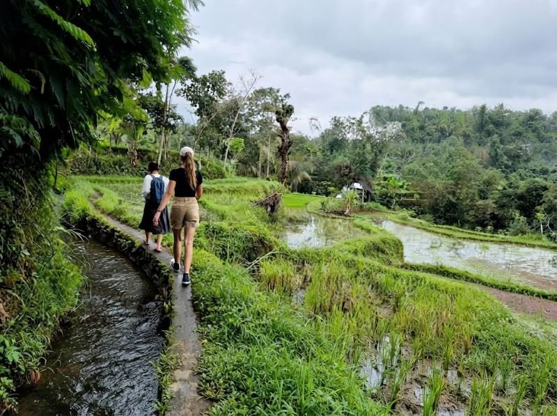 Tetebatu walking tour
