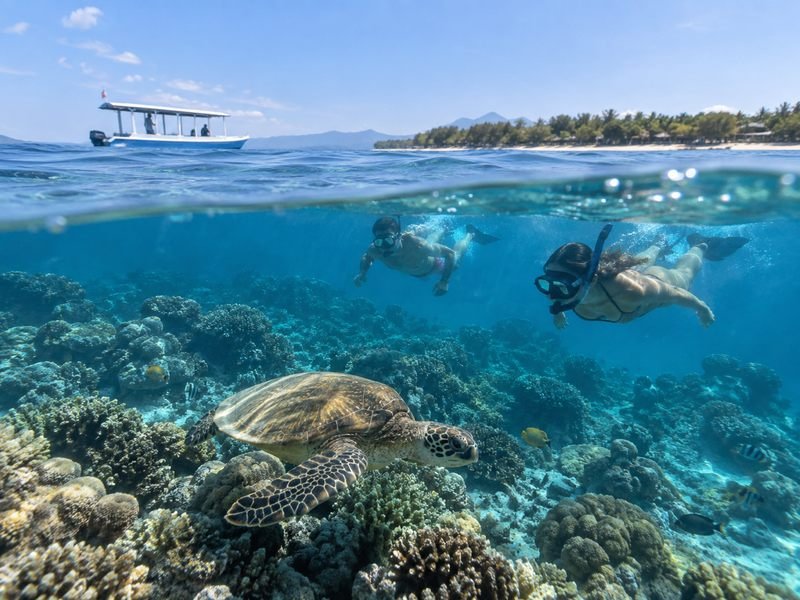 gili islands snorkeling trip turtle