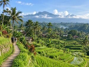 Tetebatu rice terraces with Mount Rinjani view