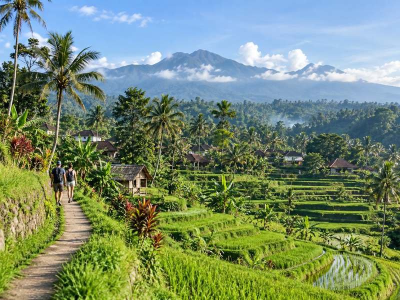 Tetebatu rice terraces with Mount Rinjani view