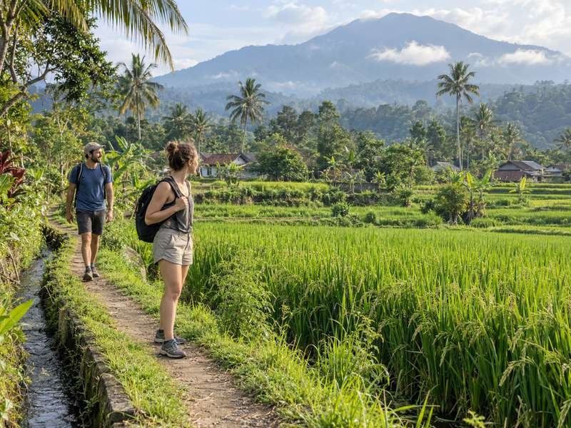 Tetebatu Kuta Lombok