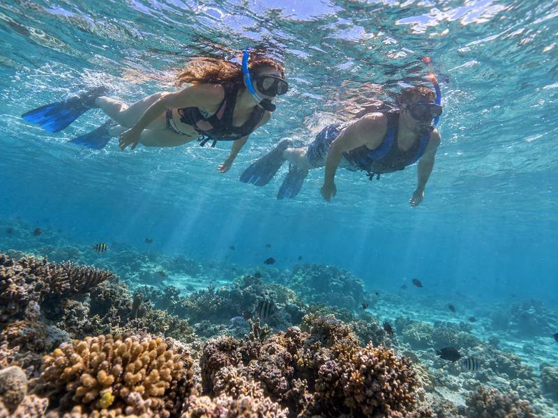 Underwater snorkeling Gili Trawangan