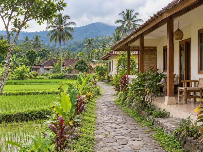 Village walking path beside accommodation in Tetebatu